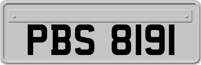 PBS8191