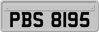 PBS8195