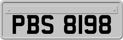 PBS8198