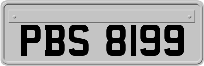 PBS8199