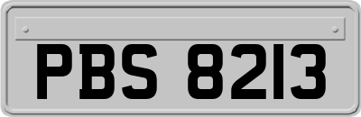 PBS8213