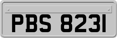 PBS8231