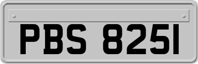 PBS8251