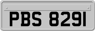 PBS8291