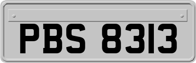 PBS8313