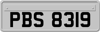 PBS8319