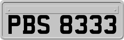 PBS8333