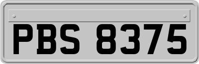 PBS8375