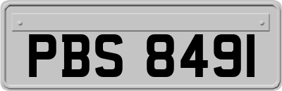 PBS8491