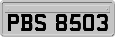 PBS8503