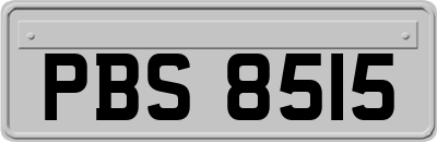 PBS8515