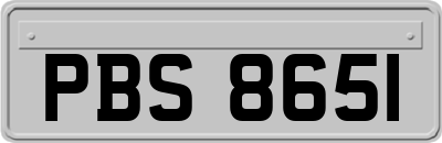 PBS8651