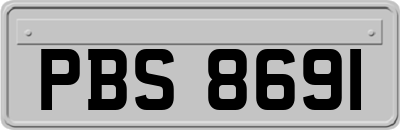 PBS8691