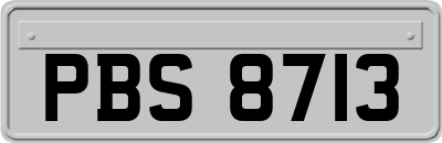 PBS8713