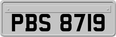 PBS8719