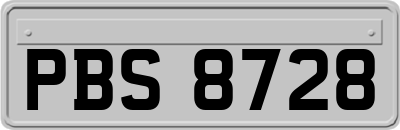 PBS8728