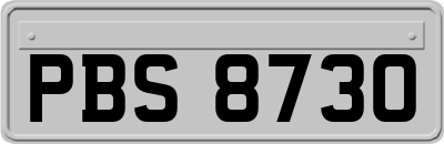 PBS8730