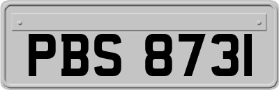 PBS8731