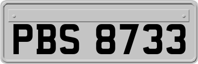 PBS8733