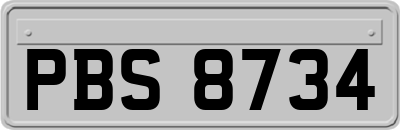 PBS8734