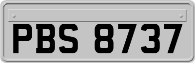 PBS8737