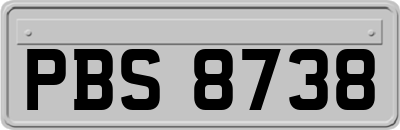 PBS8738