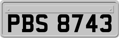 PBS8743