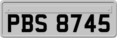 PBS8745