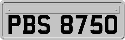 PBS8750