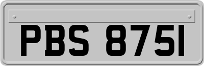 PBS8751