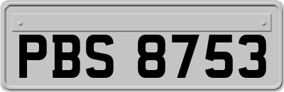 PBS8753