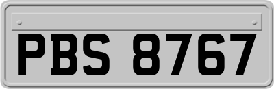 PBS8767