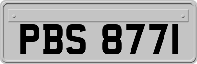 PBS8771