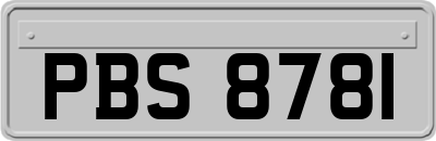 PBS8781