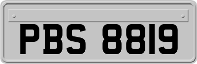 PBS8819