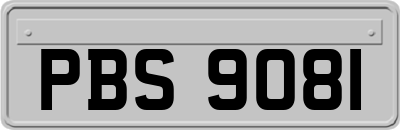 PBS9081