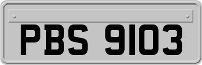 PBS9103