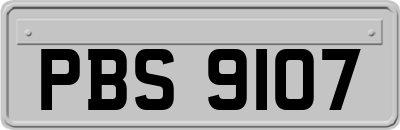 PBS9107