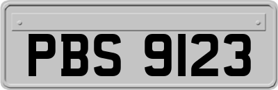 PBS9123