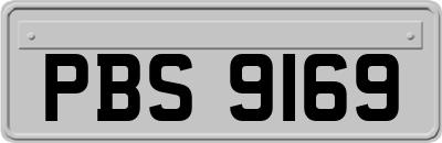 PBS9169