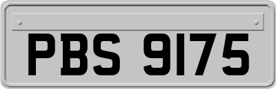 PBS9175