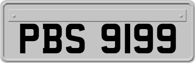 PBS9199