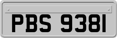 PBS9381