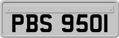 PBS9501