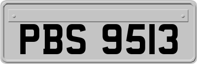 PBS9513