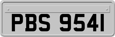 PBS9541