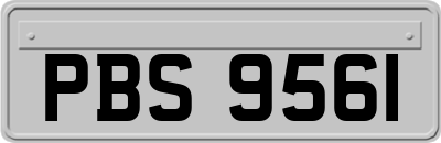 PBS9561