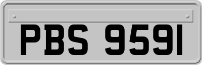 PBS9591