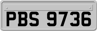 PBS9736