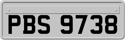 PBS9738